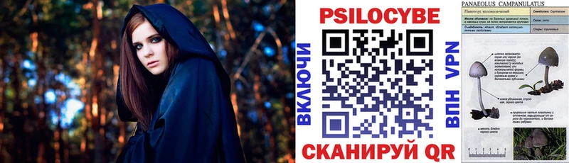 Псилоцибиновые грибы GOLDEN TEACHER  hydra рабочий сайт  Малая Вишера 